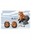 Сборная игрушка-конструктор Tyrannosaurus (свет, звук), ECXP2106 49bcd9d9d4e211ef0a8 - фото 1695721